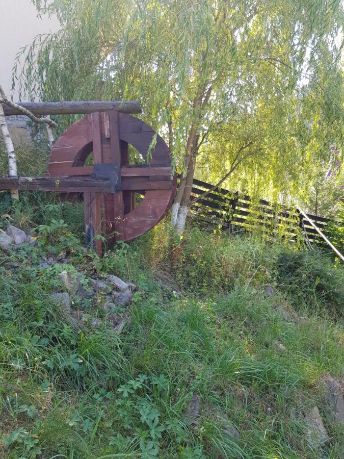 Pensiunea Daria Putna Exterior foto